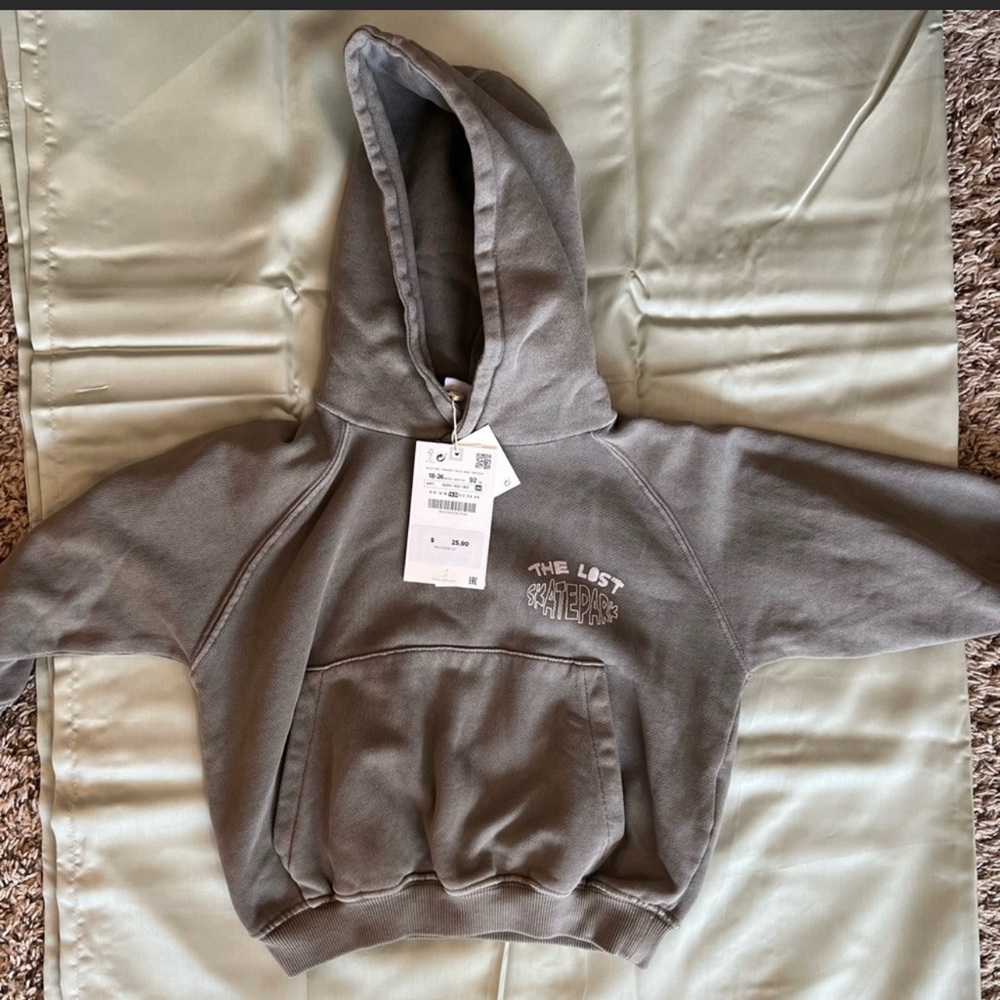 🆘ISO🆘hoodie Zara